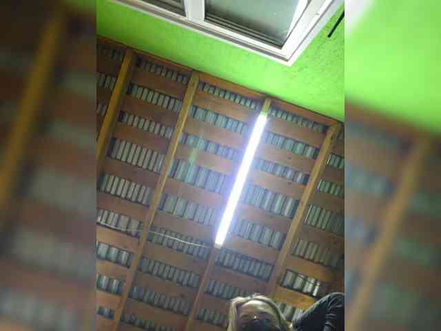 Angelia22 webcam