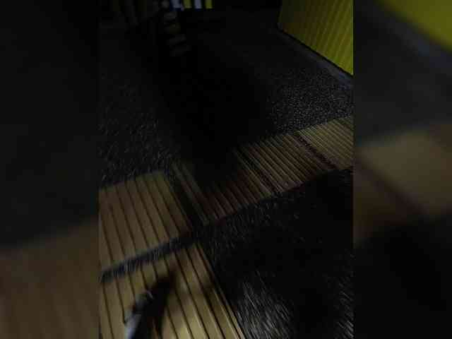 Angelia22 webcam
