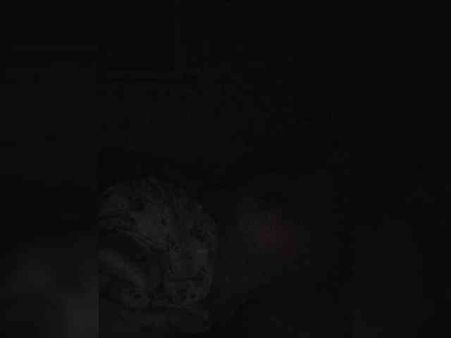 Angelia22 webcam