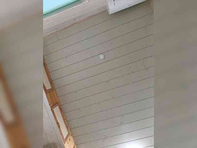 Angelia22 webcam