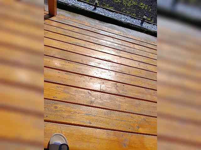 Angelia22 webcam