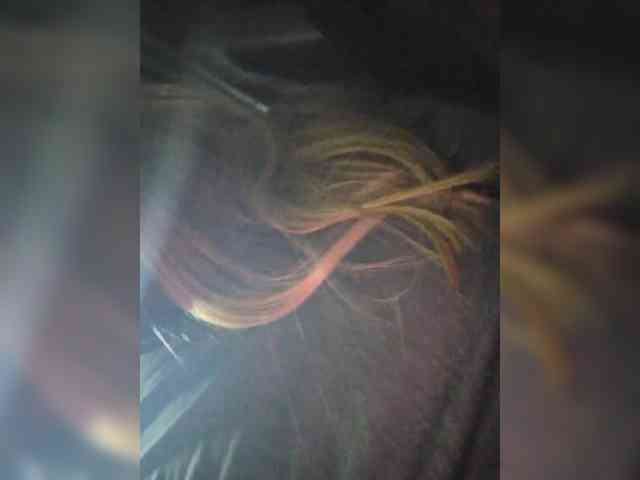 Angelia22