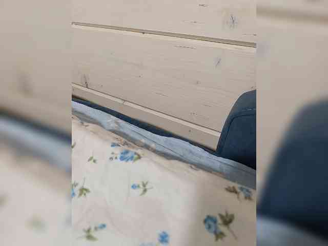 Angelia22 webcam