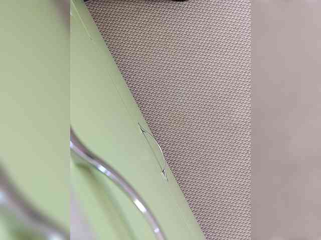 Angelia22 webcam
