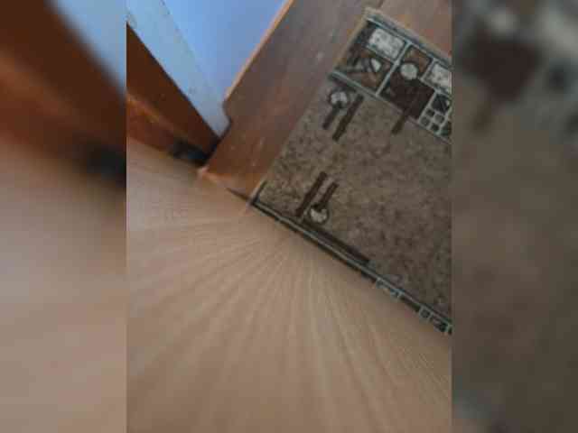 Angelia22 webcam