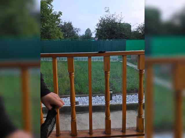 Angelia22 webcam