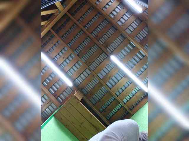 Angelia22