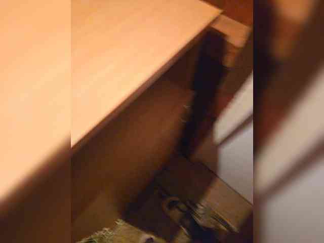 Angelia22 webcam