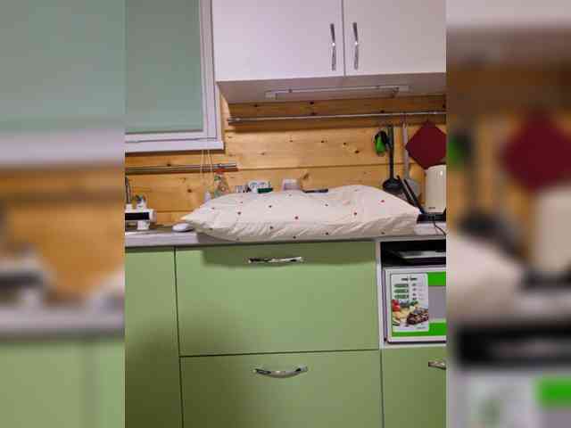 Angelia22 webcam
