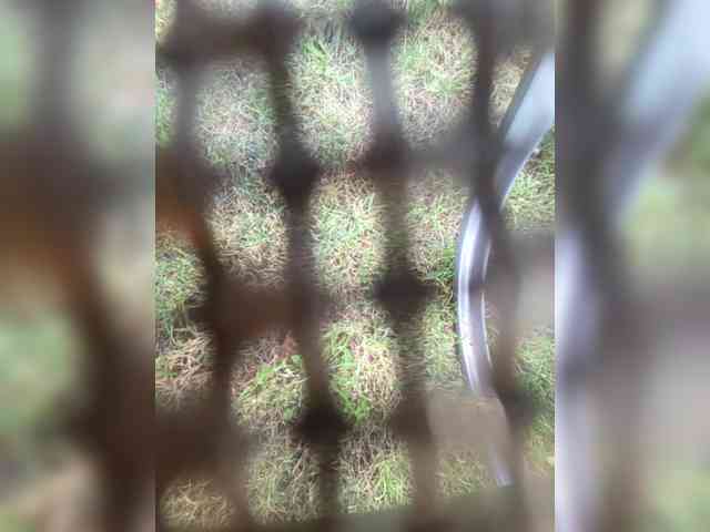 Angelia22
