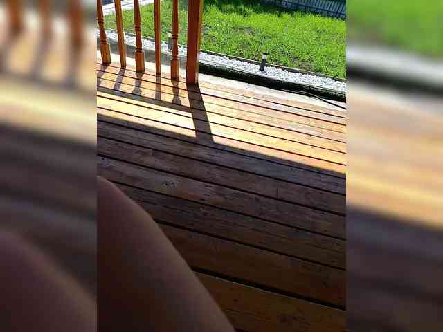 Angelia22 webcam