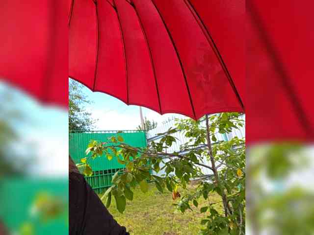 Angelia22