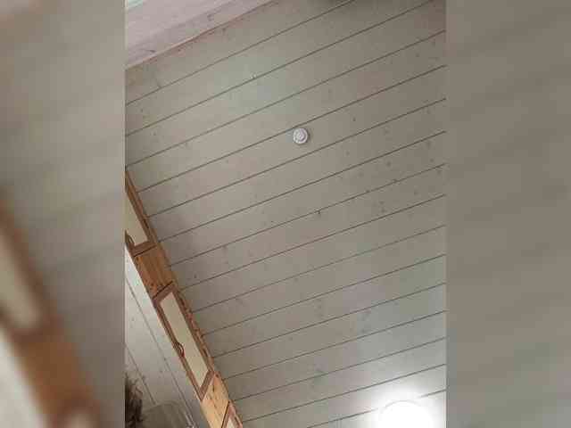 Angelia22 webcam