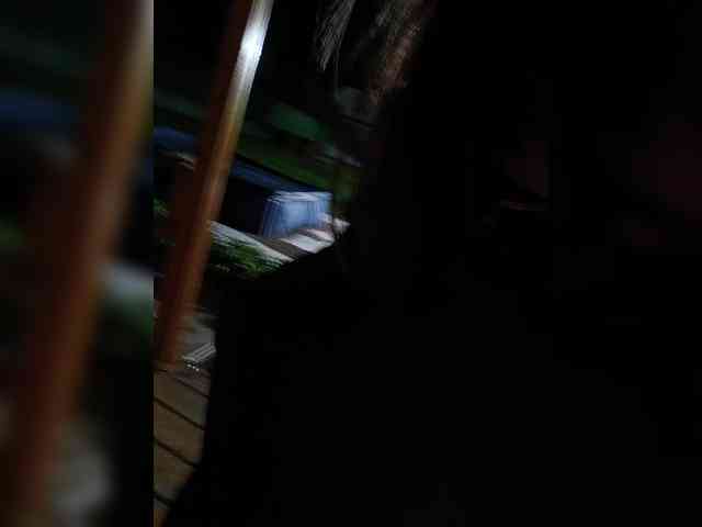 Angelia22 webcam