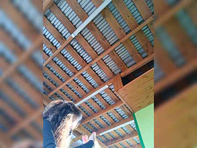 Angelia22 webcam