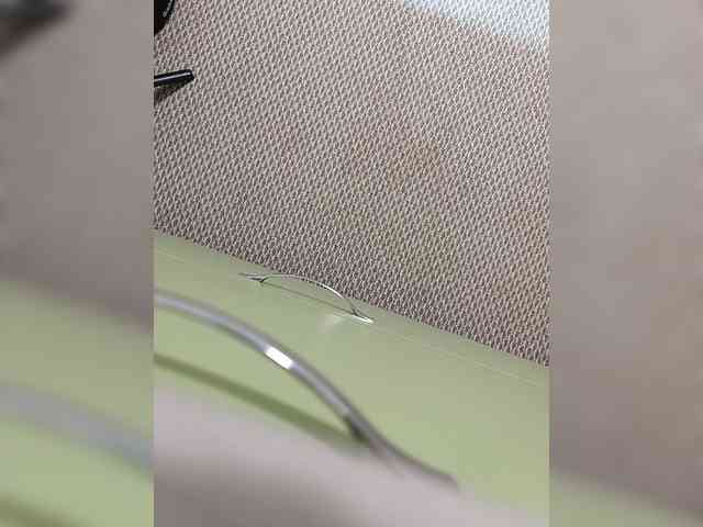 Angelia22