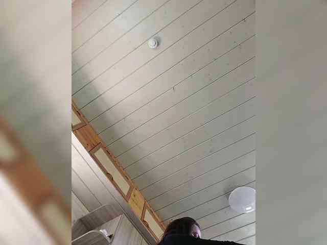 Angelia22 webcam