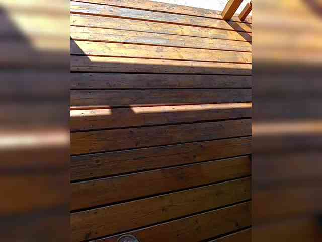 Angelia22 webcam