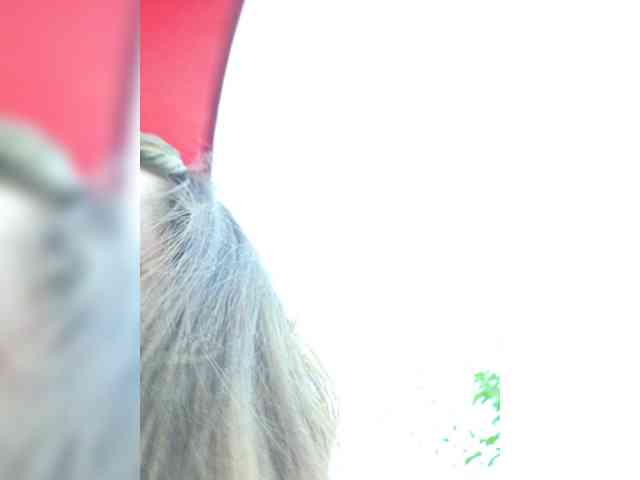 Angelia22 webcam