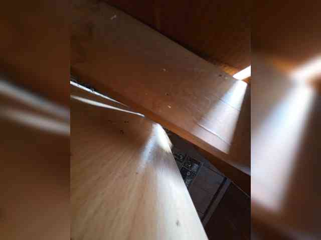 Angelia22