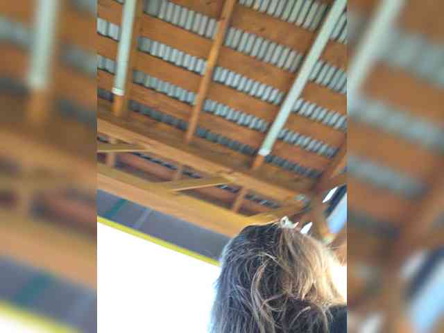 Angelia22