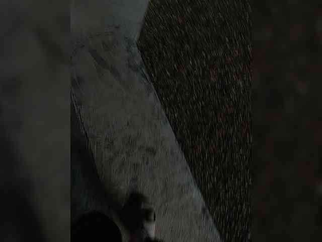 Angelia22 webcam