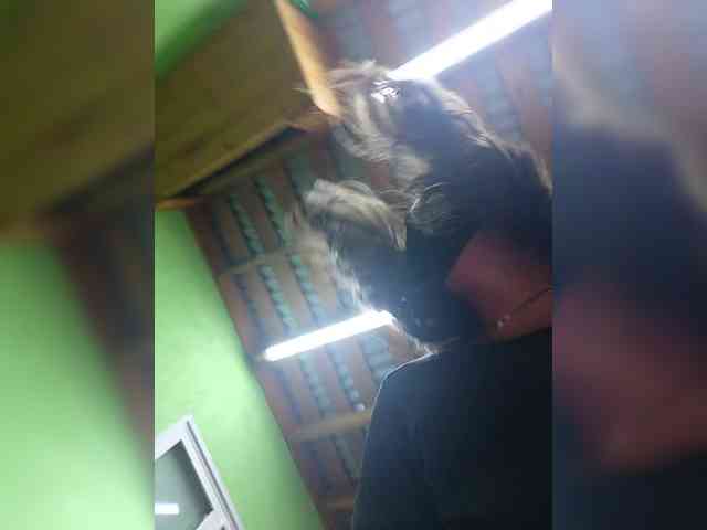 Angelia22