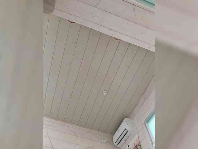 Angelia22 webcam