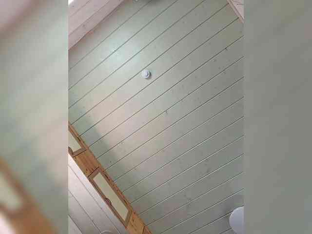 Angelia22 webcam