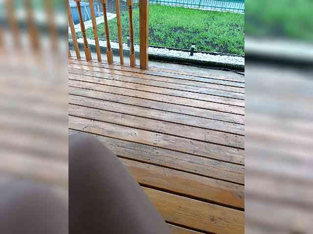 Angelia22 webcam