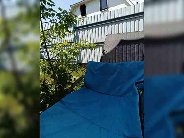 Angelia22 webcam