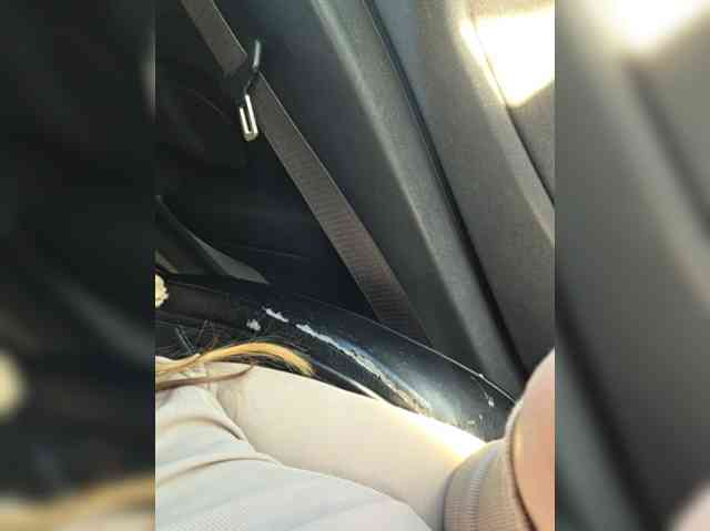 online sex cam free Angelia22