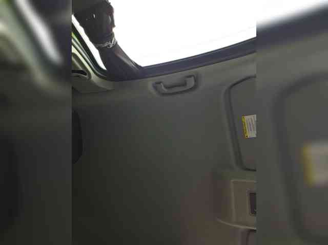 Angelia22 webcam