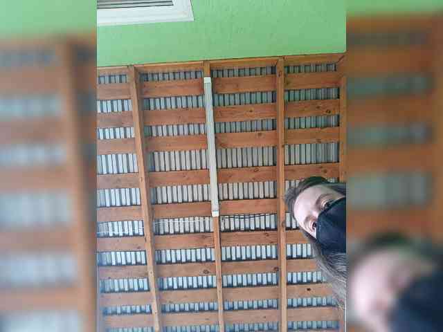 Angelia22 webcam