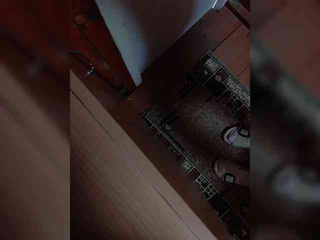 Angelia22 webcam