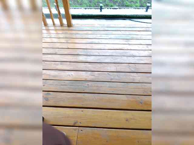 Angelia22 webcam