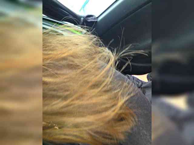 Angelia22 webcam