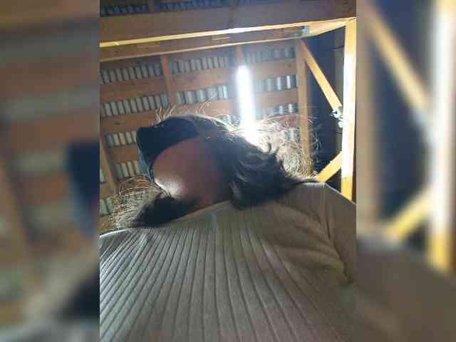 Angelia22 webcam