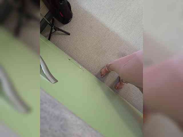 Angelia22 webcam