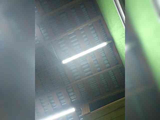 Angelia22 webcam