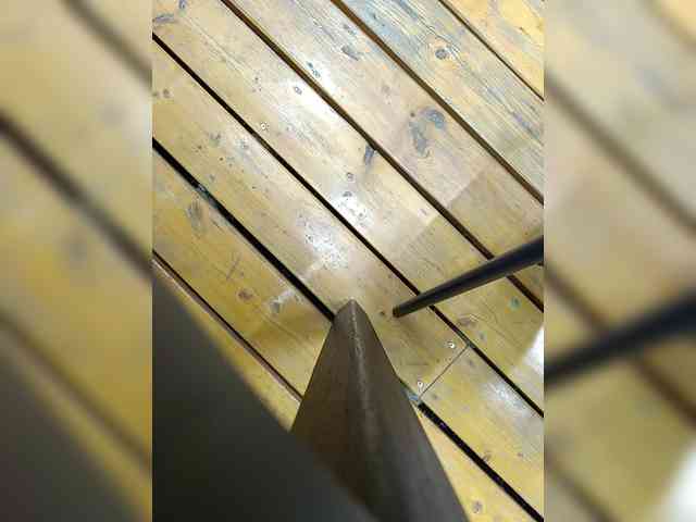 Angelia22 webcam