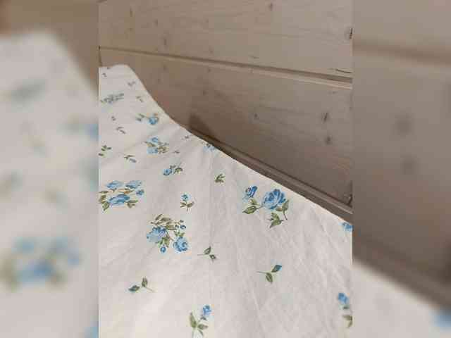 Angelia22 webcam