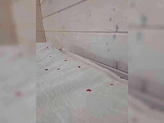 Angelia22 webcam