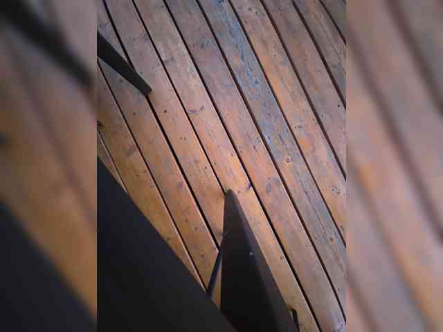 Angelia22 webcam