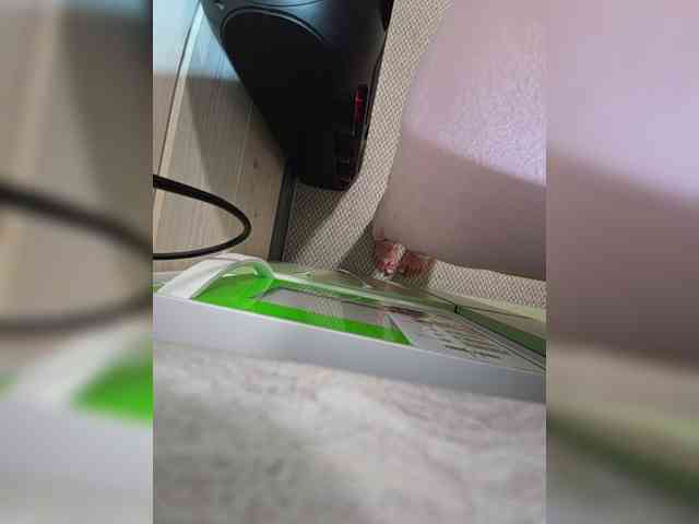 Angelia22 webcam