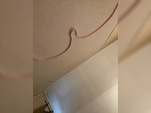 Wow-Eva live cam on BongaCams