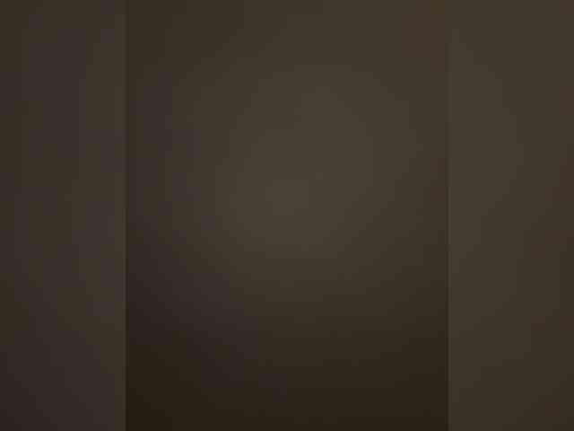 Wow-Eva webcam