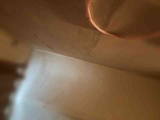 Wow-Eva webcam