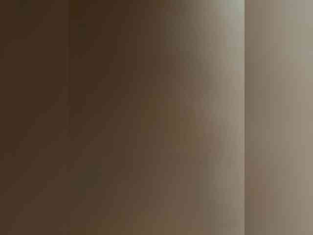Wow-Eva webcam