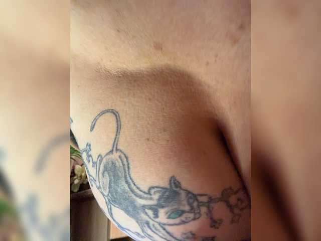 dor_oks